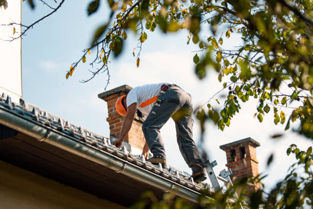 Best Gutter Installation and Repair  in Third Lake, IL