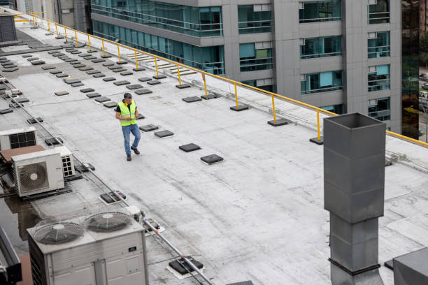 Trusted Third Lake, IL Roofing Service Experts