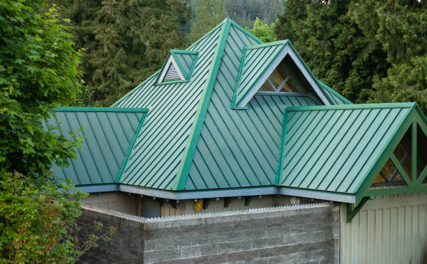 Best Roof Coating and Sealing  in Third Lake, IL