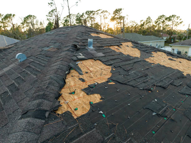 Best Gutter Installation and Repair  in Third Lake, IL