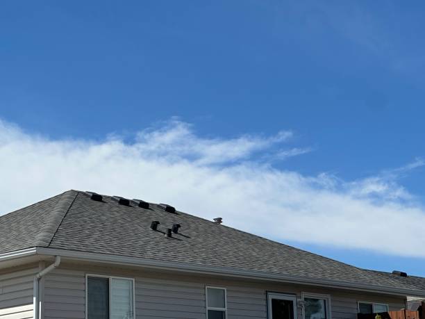 Best 4 Ply Roofing  in Third Lake, IL